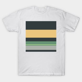A great joint of Silver Foil, Charcoal, Slate Green, Pale Olive Green and Sand stripes. T-Shirt